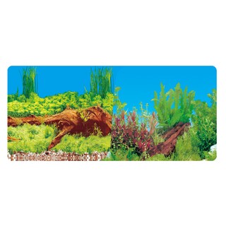 Foto 1 | Respaldo de Doble Vista para Acuario Lomas - Bosques Acuáticos 30 cm
