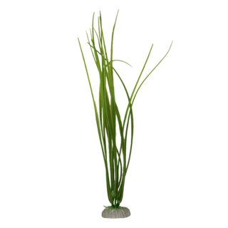 Foto 5 | Plantas de Plástico para Acuario Lomas 6 Piezas