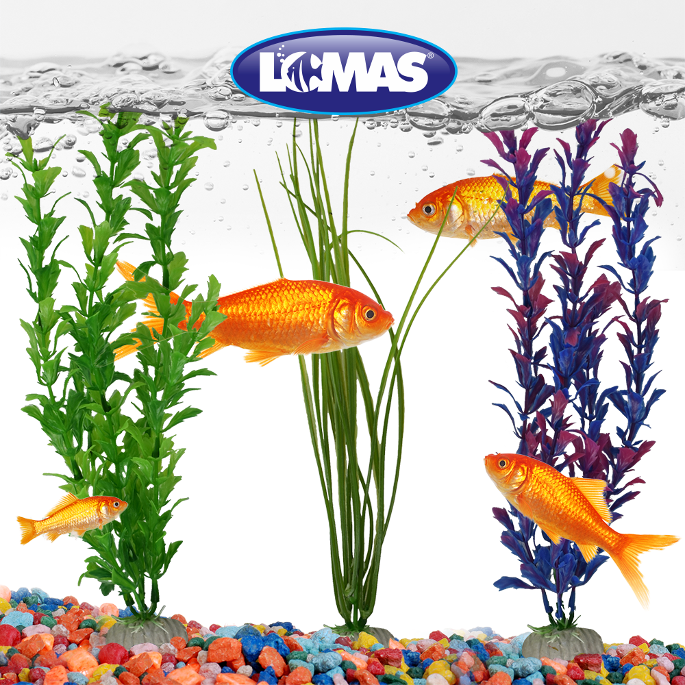 Foto 9 pulgar | Plantas de Plástico para Acuario Lomas  6 Piezas