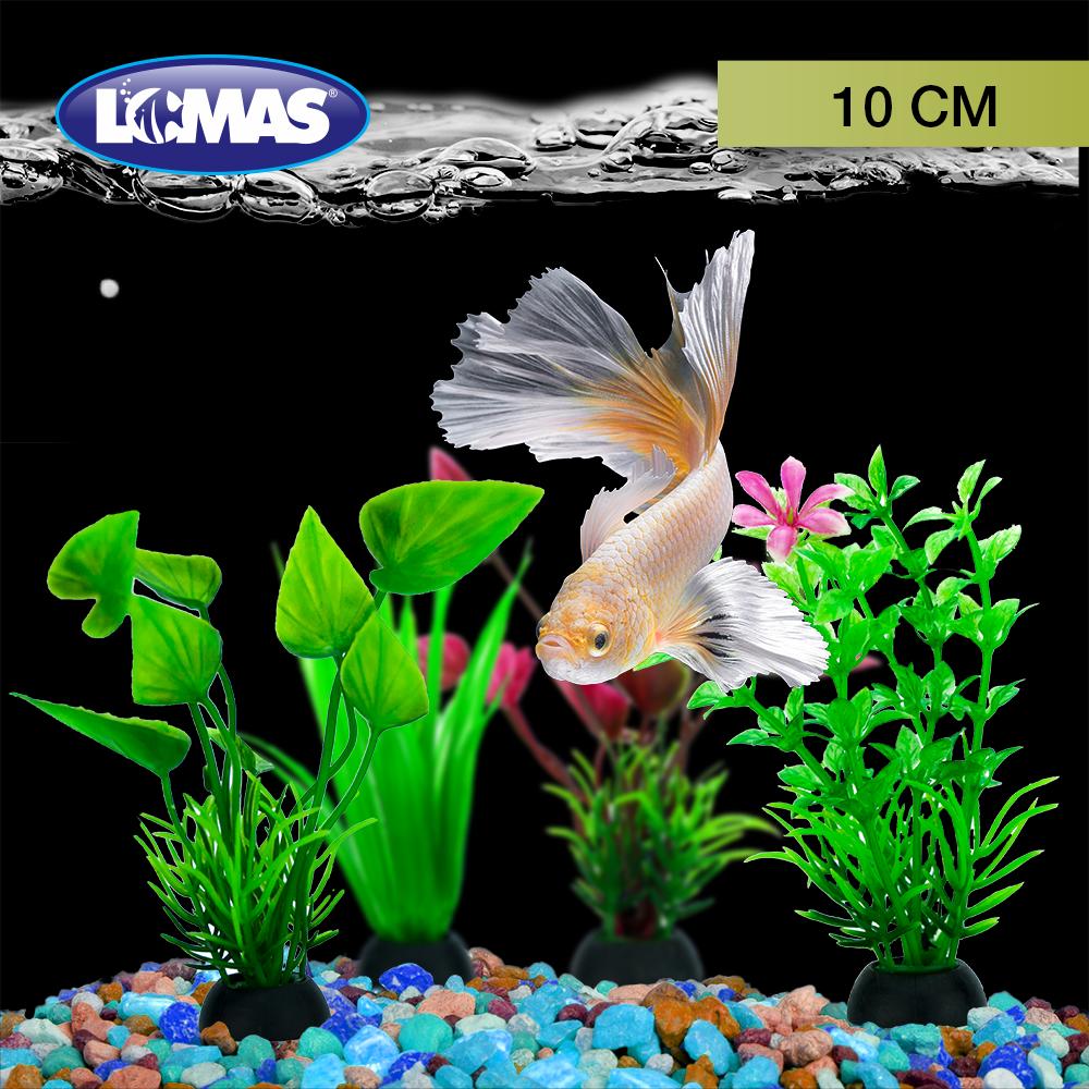 Foto 9 pulgar | Plantas de Plástico para Acuario Lomas  6 Piezas