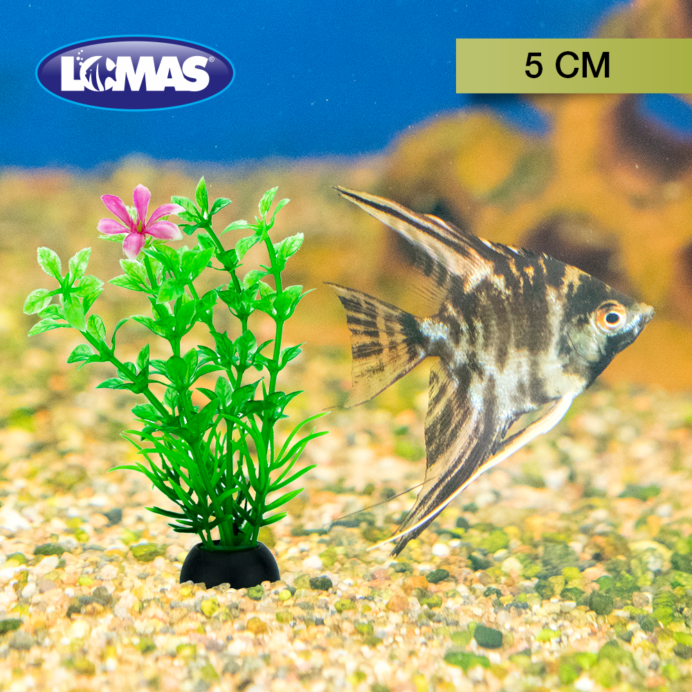 Foto 7 | Lomas Plantas De Plástico Surtidas De 5 Centímetros Para Acuario Con 9 Piezas