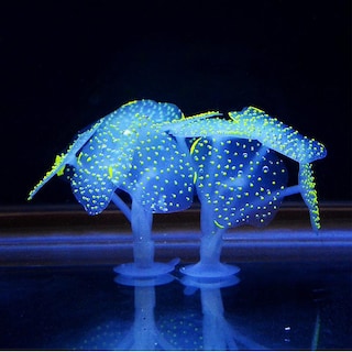 Foto 1 | Planta De Silicona De Coral Artificial Para Pecera - Venta Internacional.