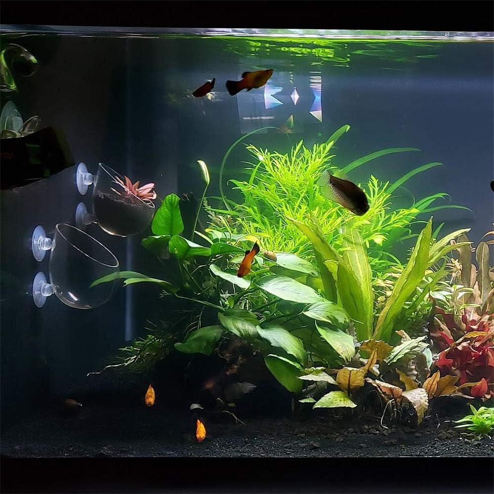 Foto 6 pulgar | Soportes Para Plantas Acuáticas, Macetas De Bonsái Para Acuario - Venta Internacional.