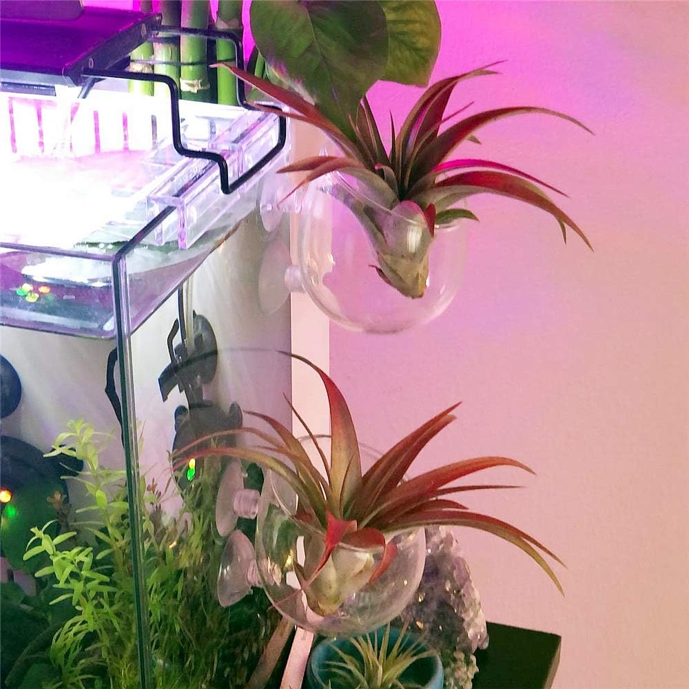 Foto 7 pulgar | Soportes Para Plantas Acuáticas, Macetas De Bonsái Para Acuario - Venta Internacional.
