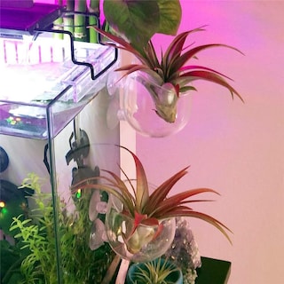 Foto 6 | Soportes Para Plantas Acuáticas, Macetas De Bonsái Para Acuario - Venta Internacional.