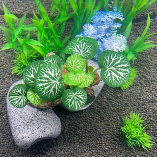 Foto 6 | Plantas De Acuario Jieyou Betta Rest, Seda Suave Para Pecera - Venta Internacional.