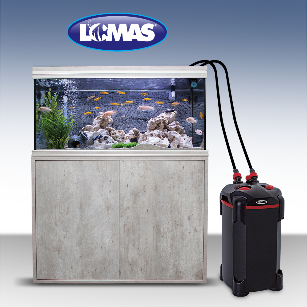 Foto 4 pulgar | Filtro Externo Lomas Canister Aquajet FL8904 para Peceras o Acuarios Capacidad de Hasta 400 Litros