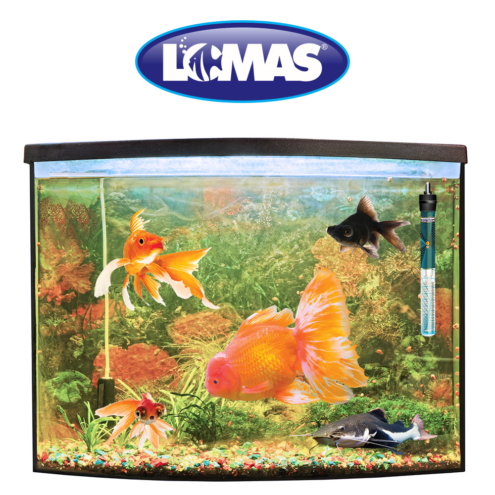 Foto 4 pulgar | Calentador Sumergible ThermoJet Lomas FL7752 Transparente con Termostato de 50 Watts
