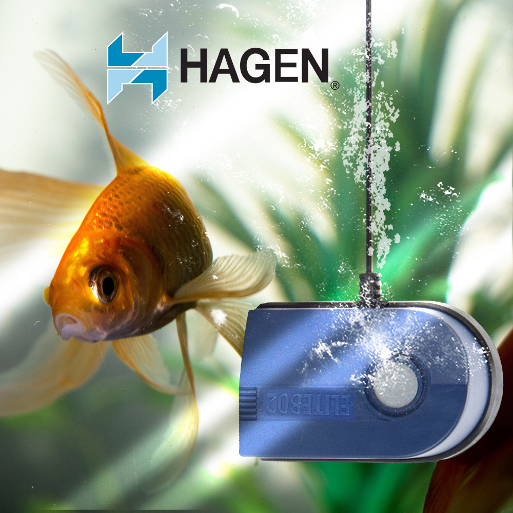 Foto 3 | Bomba de Aire Elite 202 Hagen HA802 color Azul Silenciosa para Peceras o Acuarios de 20 Galones