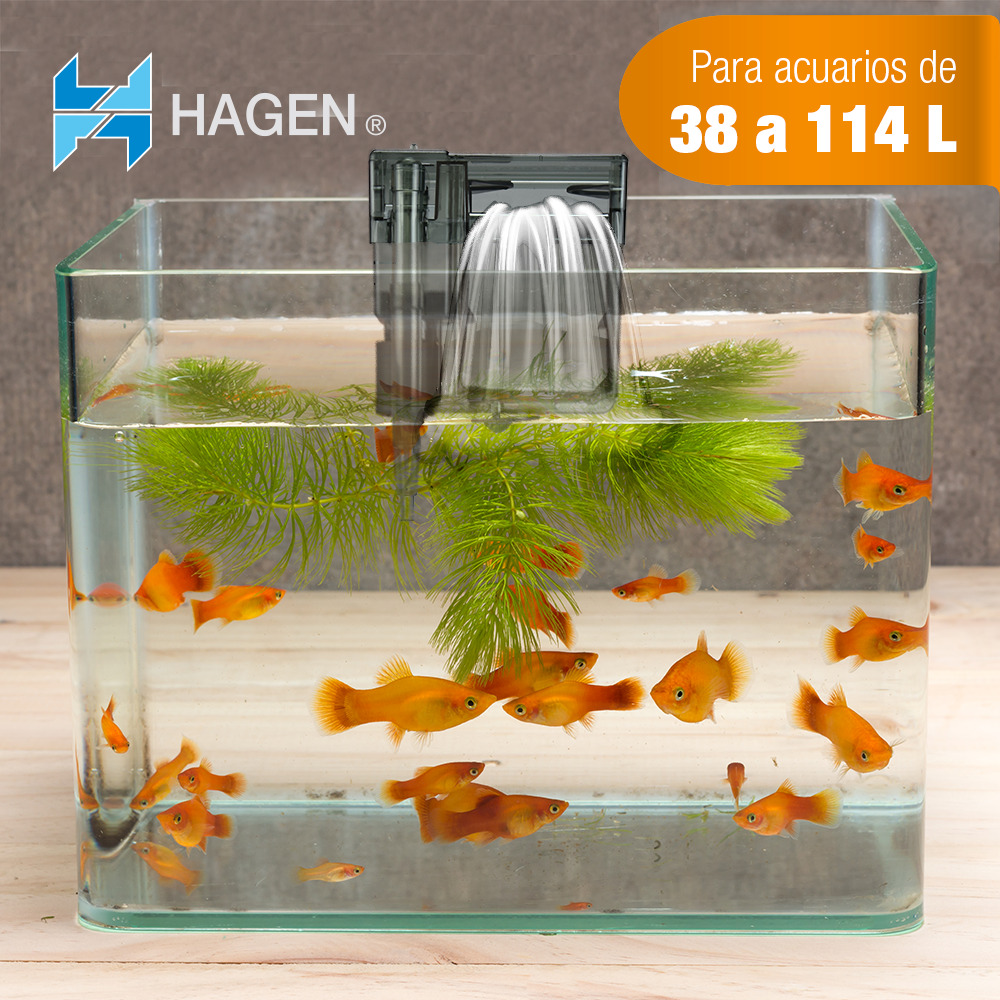 Foto 4 pulgar | Filtro Mecanico Hagen Aquaclear para Pecera Hasta 114 Litros