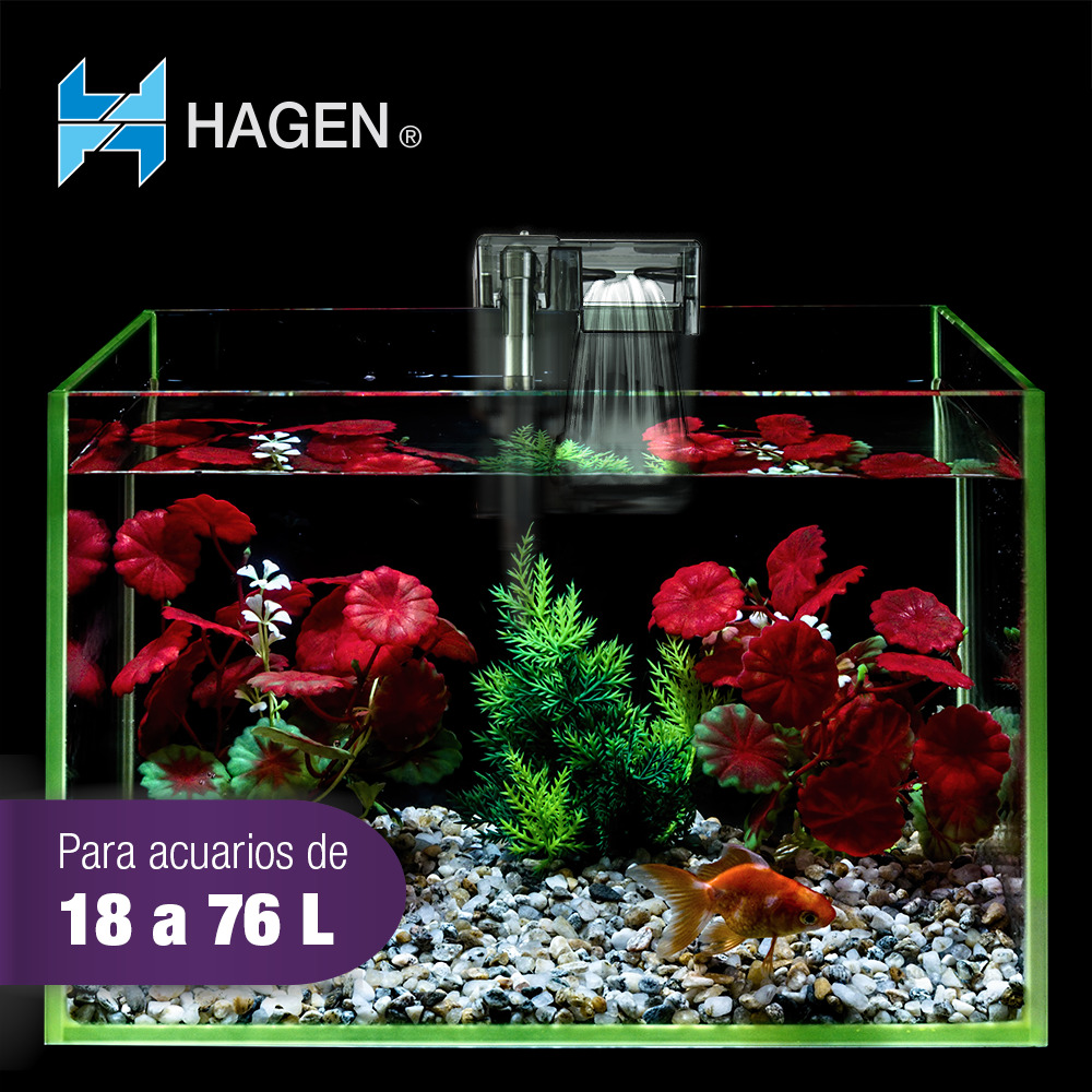Foto 4 pulgar | Hagen Filtro Aquaclear Mini Para Peceras De 20 Galones  76 Litros color Gris