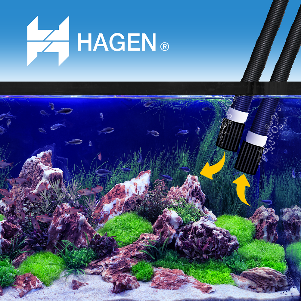 Foto 4 pulgar | Hagen Manguera Con Conectores Fluval Para Fluval Fx5 Y Fx6 De Acuarios Y/o Peceras
