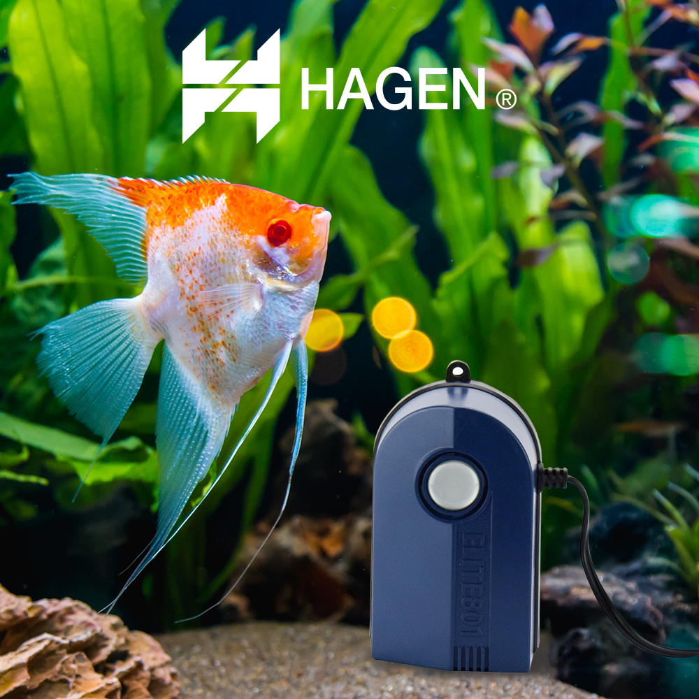 Foto 4 | Bomba de Aire Hagen para Acuario de 57 L