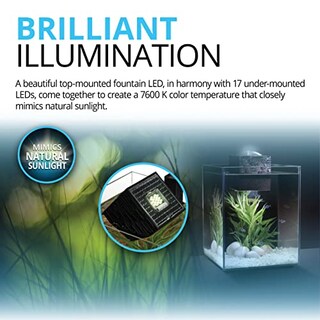 Foto 3 | Acuario Fluval Chi Ii 19l (5 Galones) Blanco 10505 - Venta Internacional.