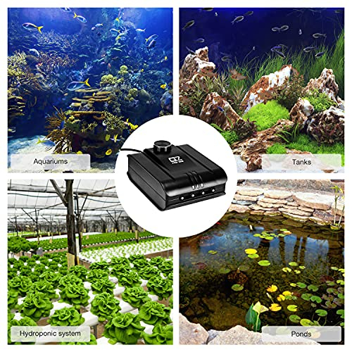Foto 6 | Bomba De Aire Para Acuario Lychee 254gph, 8 W, 4 Salidas, Para Peces T De 1135 Litros - Venta Internacional.