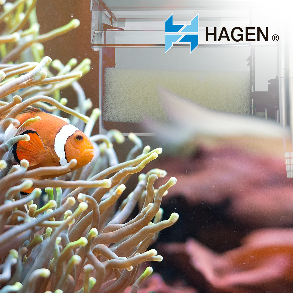 Foto 4 pulgar | Filtro para Acuarios Aquaclear Hagen HA620 color Gris de hasta 568 L