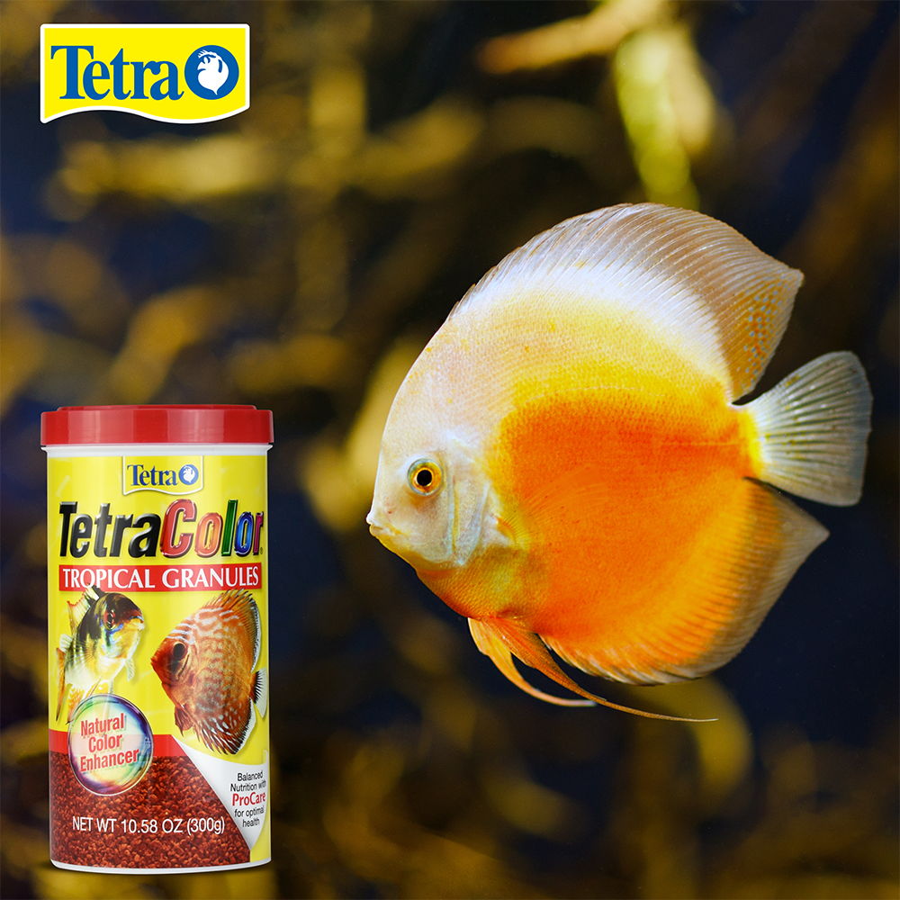 Foto 4 pulgar | Alimento para Peces Tetracolor Tropical Granules 10.6 Oz/300 G