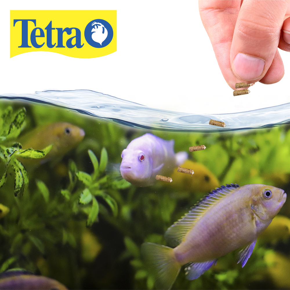 Foto 3 pulgar | Alimento para Peces Jumbomin Large Floating Sticks 7.4 Oz/210 G