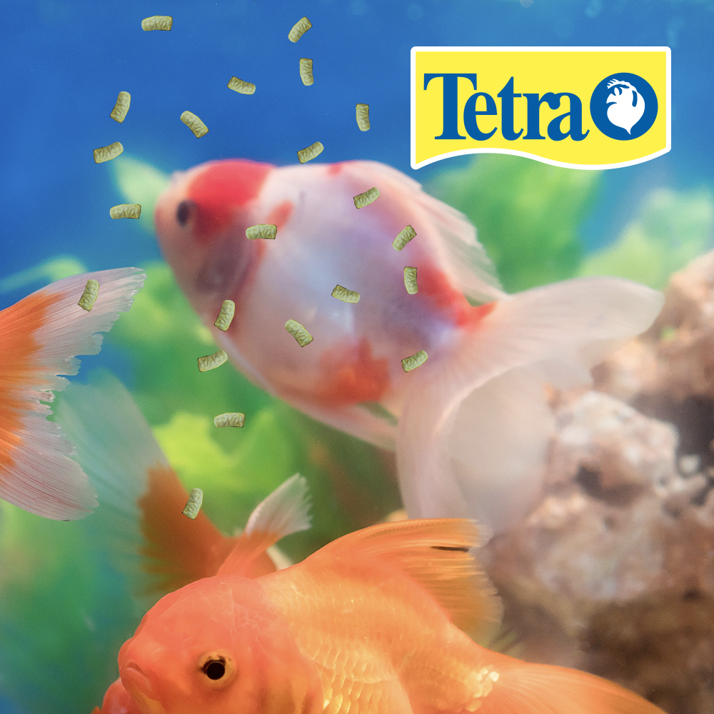 Foto 2 | Alimento para Peces Tetra Tetrapond Sticks de Ornato con 5 Kilos