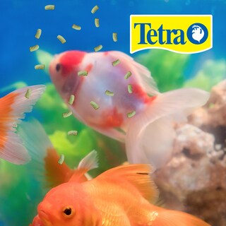 Foto 2 | Alimento para Peces Tetra Tetrapond Sticks de Ornato con 5 Kilos