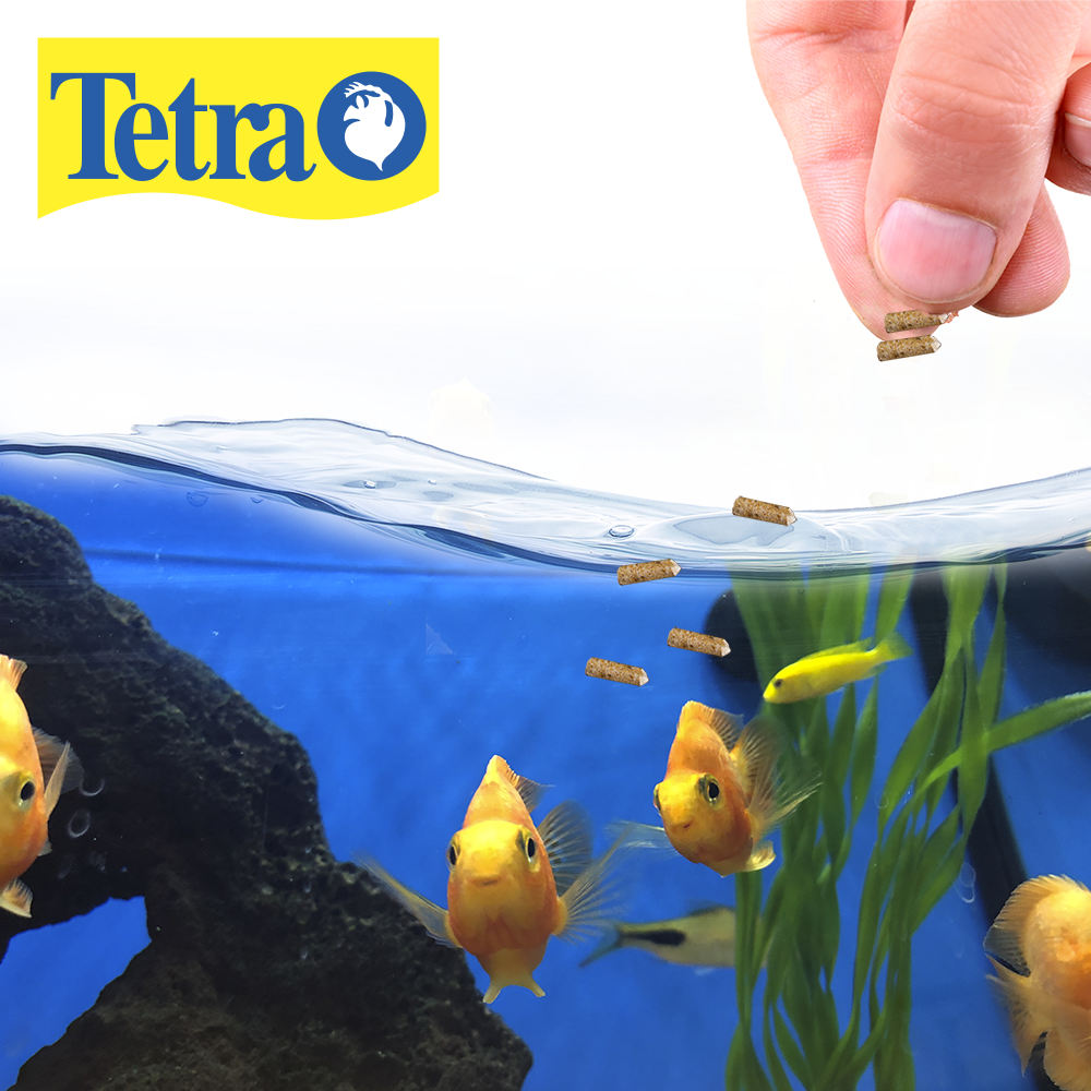 Foto 2 | Alimento para Peces Tetracichlid Floating Cichlid Sticks 11.3 Oz/350 G