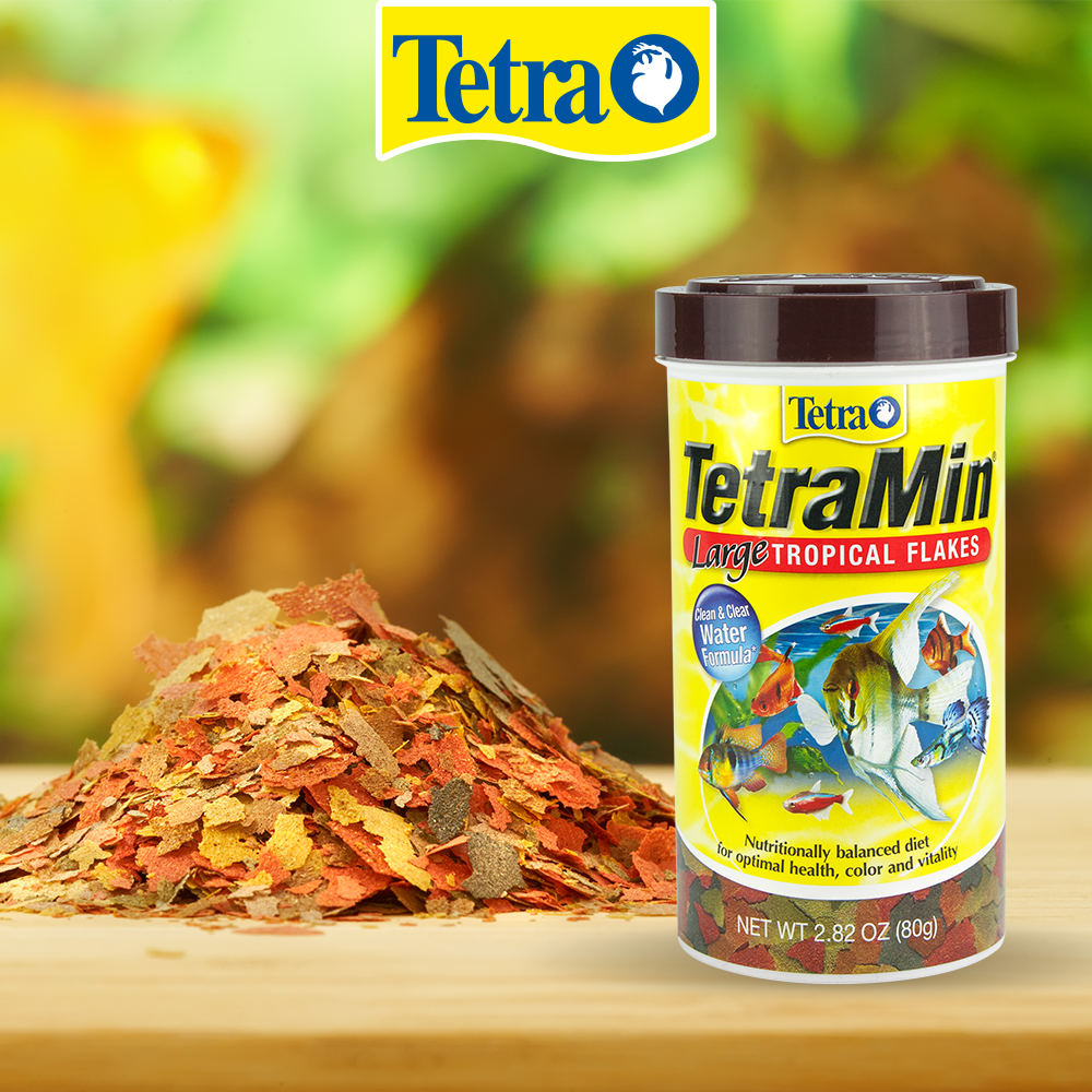 Foto 3 pulgar | Tetra Alimento Tetramin Flakes para Peces con 80 g