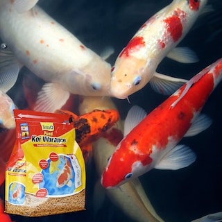 Foto 3 | Alimento con Potenciadores de color para Peces Tetrapond Alimento Koi Vibrance Premium con 1.10 Kilogramos