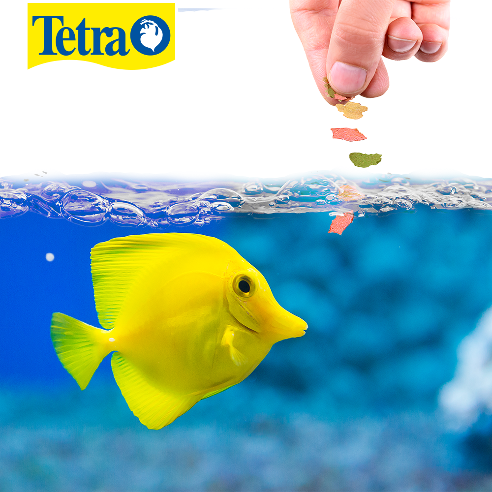 Foto 3 pulgar | Tetramarine Saltwater Flakes 5.6 oz/ 160 g
