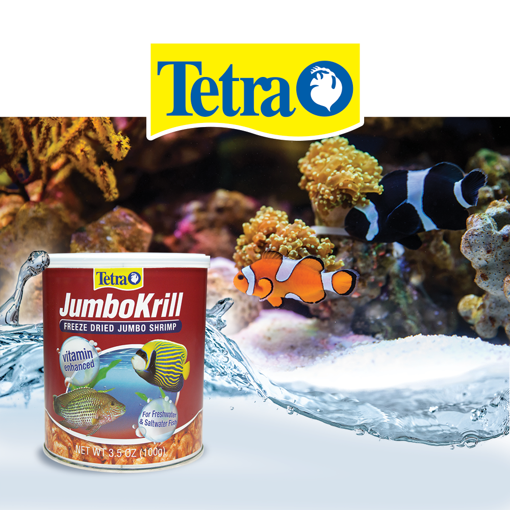 Foto 3 pulgar | Alimento para Peces Tetra Jumbokrill Tropicales y Marinos con 100 Gramos