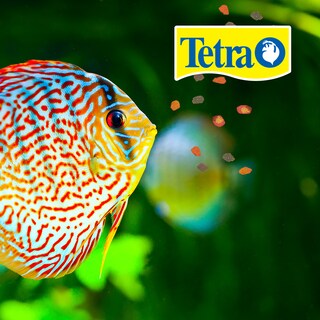 Foto 2 | Tetra Tetrapro Alimento Color Crisp para Peces con 210 g