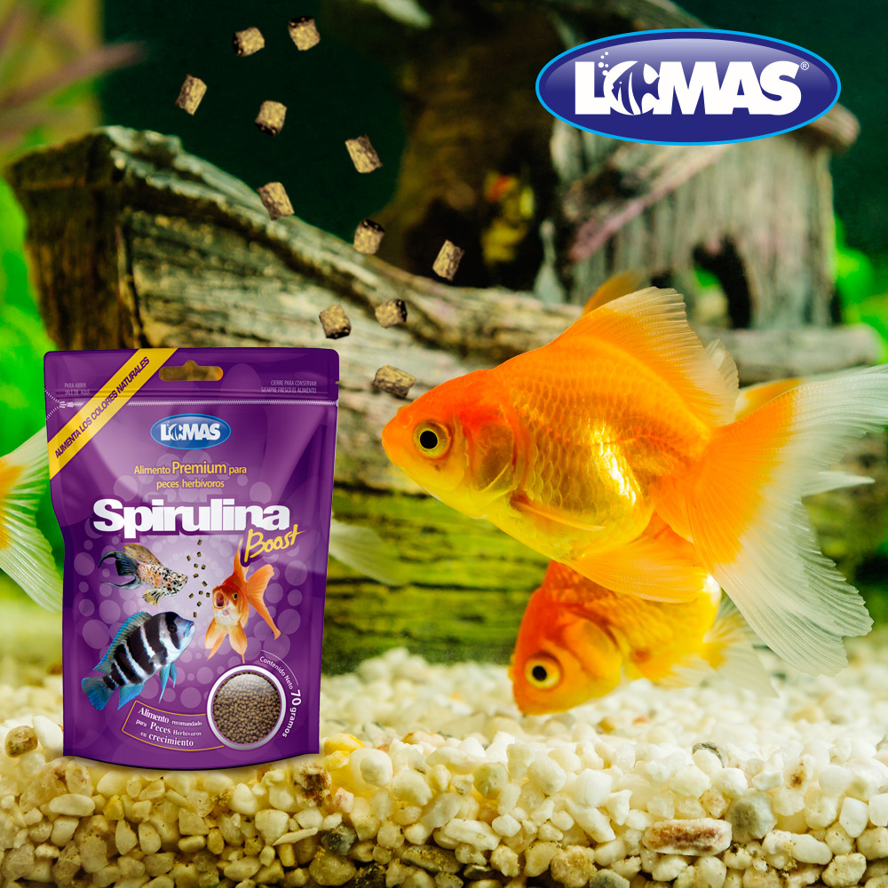 Foto 4 pulgar | Alimento Premium para Peces Lomas Spirulina Boost de 350 g