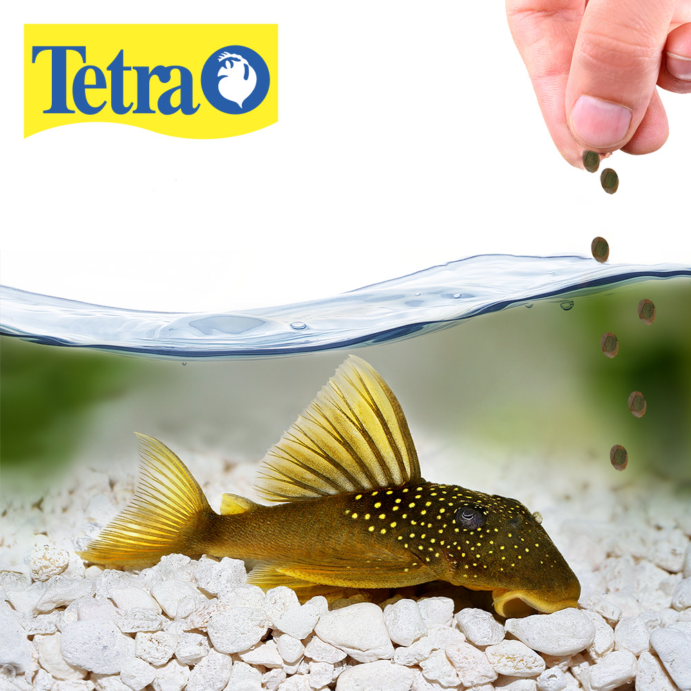 Foto 3 pulgar | Alimento para Peces Tetra Pleco Wafers 150 g