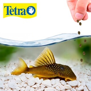 Foto 2 | Alimento para Peces Tetra Pleco Wafers 150 g