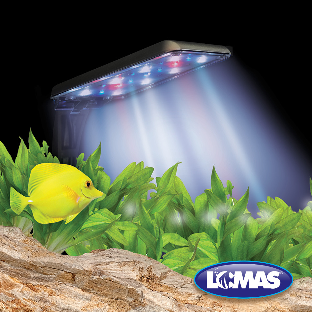 Foto 4 pulgar | Luminario LED para Acuario Lomas FL7959 Nano 5W 18Cm