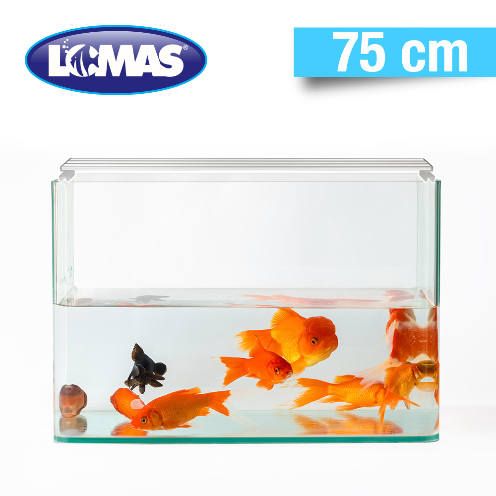 Foto 4 pulgar | Luminario Spectrum II Lomas FL7357 color Blanco LED 10 W 75 CM