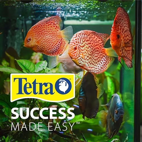 Foto 8 pulgar | Kit De Acuario Tetra Bubbling Led De 3,8 L En Forma De Hexágono Con Luz - Venta Internacional.