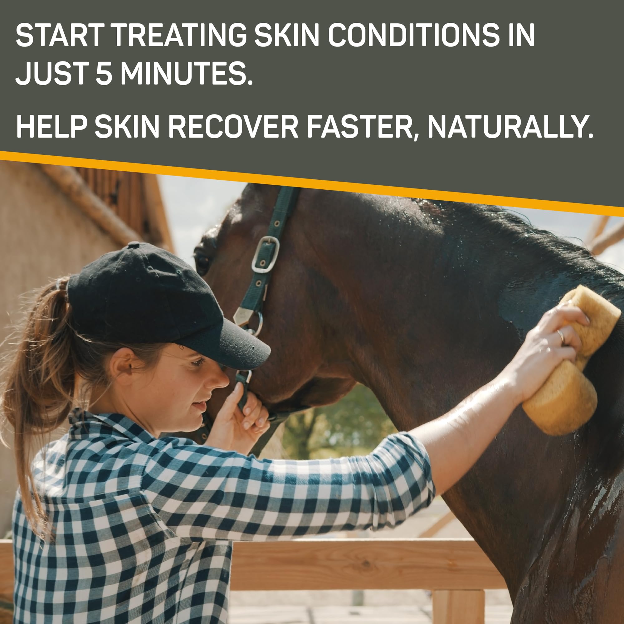Foto 4 pulgar | Shampoo Absorbine Silver Honey Rapid Skin Relief para Caballo  - Venta Internacional