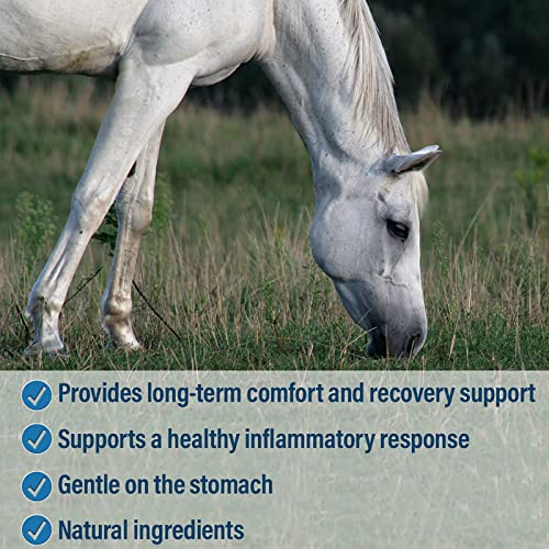 Foto 4 | Suplemento Absorbine Bute-less Long-term Horse 960 Ml - Venta Internacional.