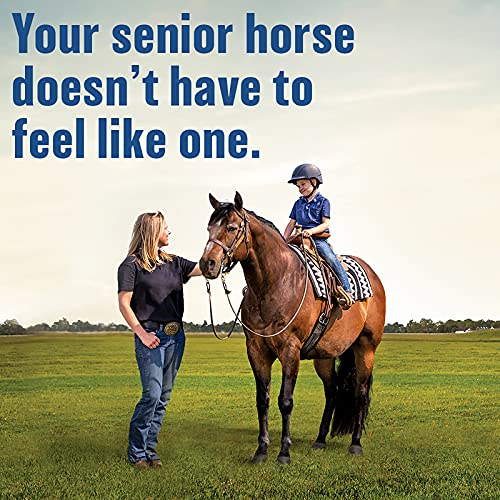 Foto 6 | Suplemento Absorbine Bute-less Long-term Horse 960 Ml - Venta Internacional.