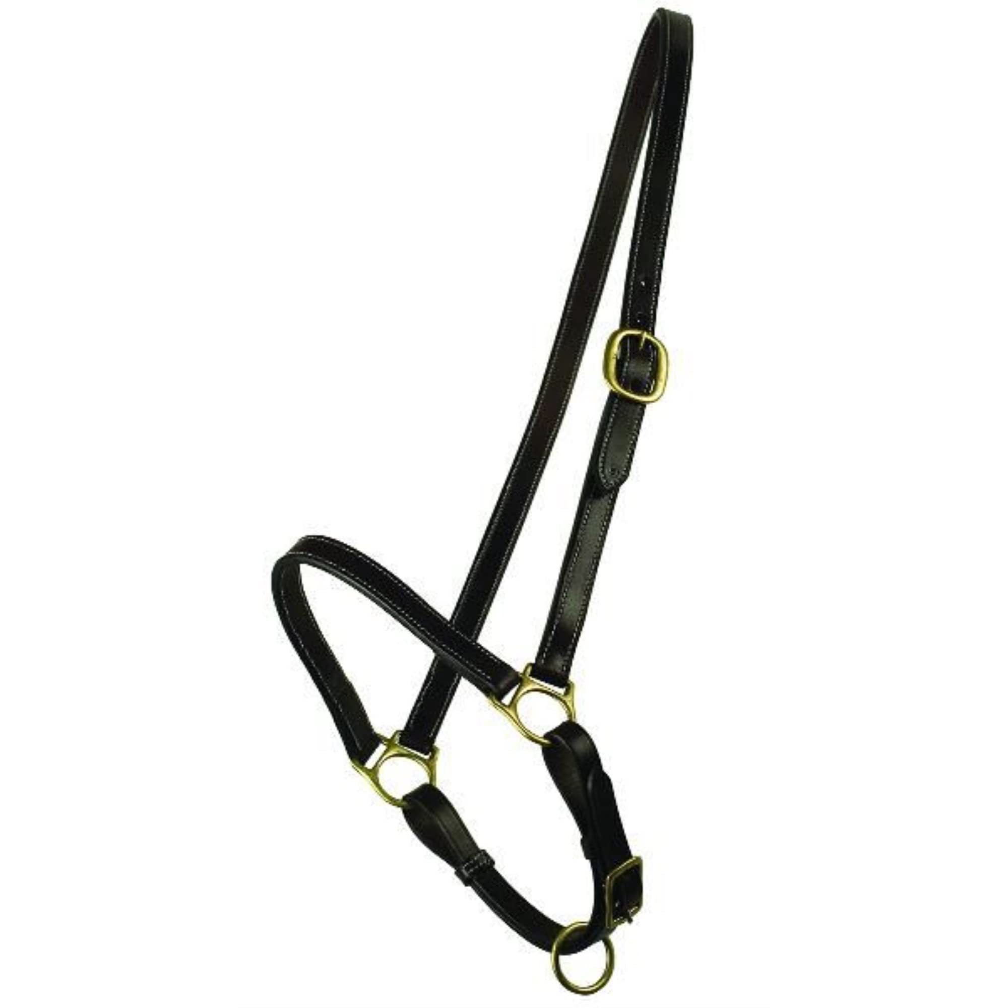 Foto 1 | Cabestro De Peluche Gatsby Caballo Caballo Cuero Habana - Venta Internacional.