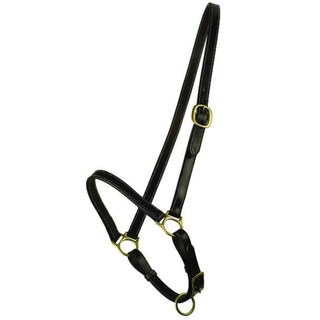 Foto 1 | Cabestro De Peluche Gatsby Caballo Caballo Cuero Habana - Venta Internacional.