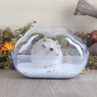 Foto 3 | Recipiente De Baño De Arena Para Hámster Huoguo, Plástico Transparente - Venta Internacional.