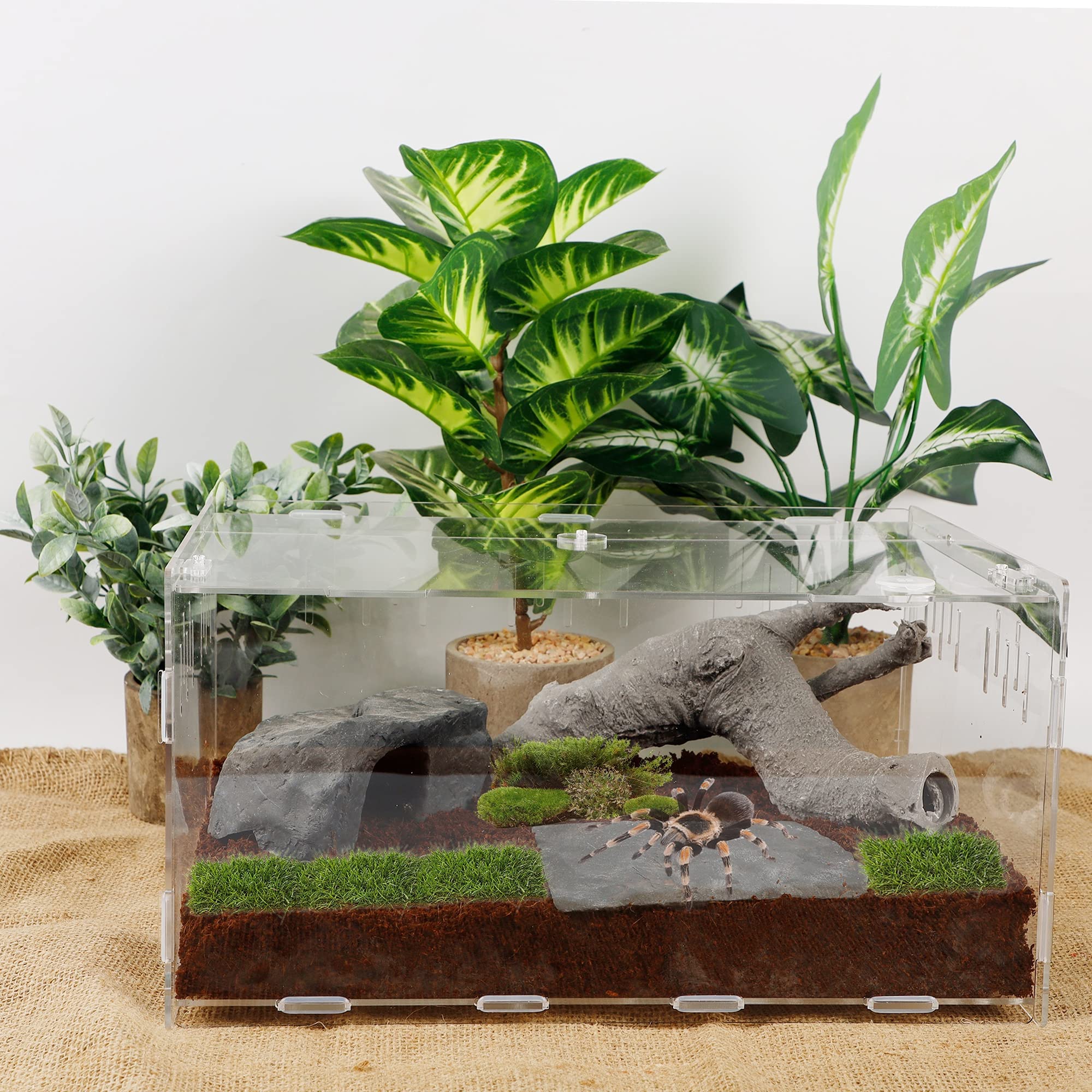 Foto 6 pulgar | Terrarium Winemana Recinto Para Reptiles Y Tarántulas, 40 X 28 X 15 Cm - Venta Internacional.