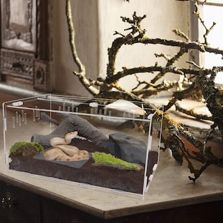 Foto 6 | Terrarium Winemana Recinto Para Reptiles Y Tarántulas, 40 X 28 X 15 Cm - Venta Internacional.