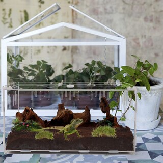 Foto 7 | Terrarium Winemana Recinto Para Reptiles Y Tarántulas, 40 X 28 X 15 Cm - Venta Internacional.