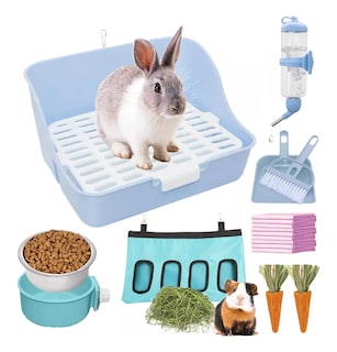 Foto 4 | Entrenador Lab.g De Caja Conejos Cobayas Kit De Alimentación Heno Azul