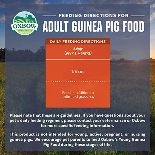 Foto 4 pulgar | Alimento Para Conejillos De Indias Oxbow Organic Bounty Para Adultos, 1,36 Kg - Venta Internacional.
