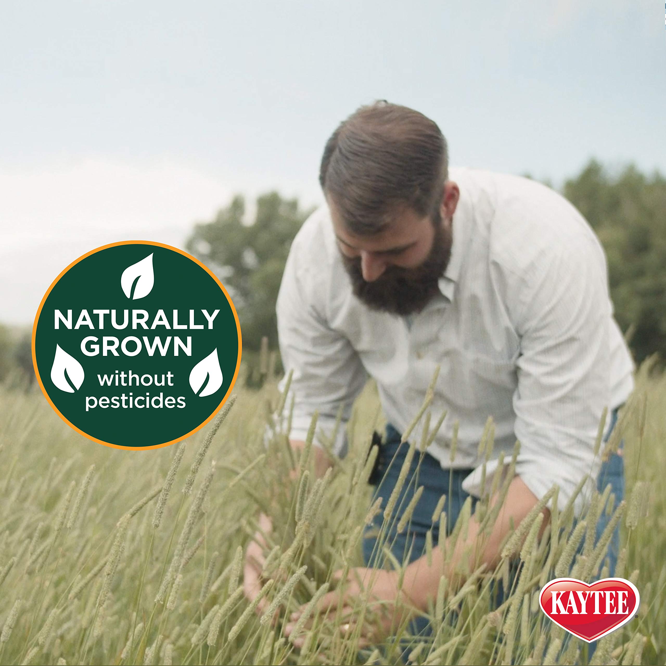 Foto 5 pulgar | Alimento Para Mascotas Kaytee Wafer Cut, Totalmente Natural, Timothy Hay, 1,77 Kg - Venta Internacional.