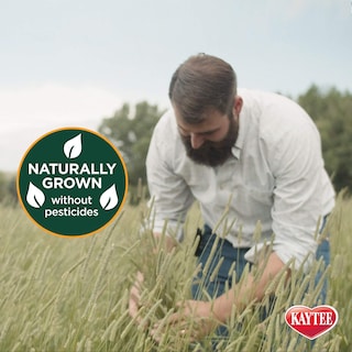 Foto 4 | Alimento Para Mascotas Kaytee Wafer Cut, Totalmente Natural, Timothy Hay, 1,77 Kg - Venta Internacional.