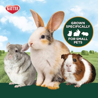 Foto 5 | Alimento Para Mascotas Kaytee Wafer Cut, Totalmente Natural, Timothy Hay, 1,77 Kg - Venta Internacional.